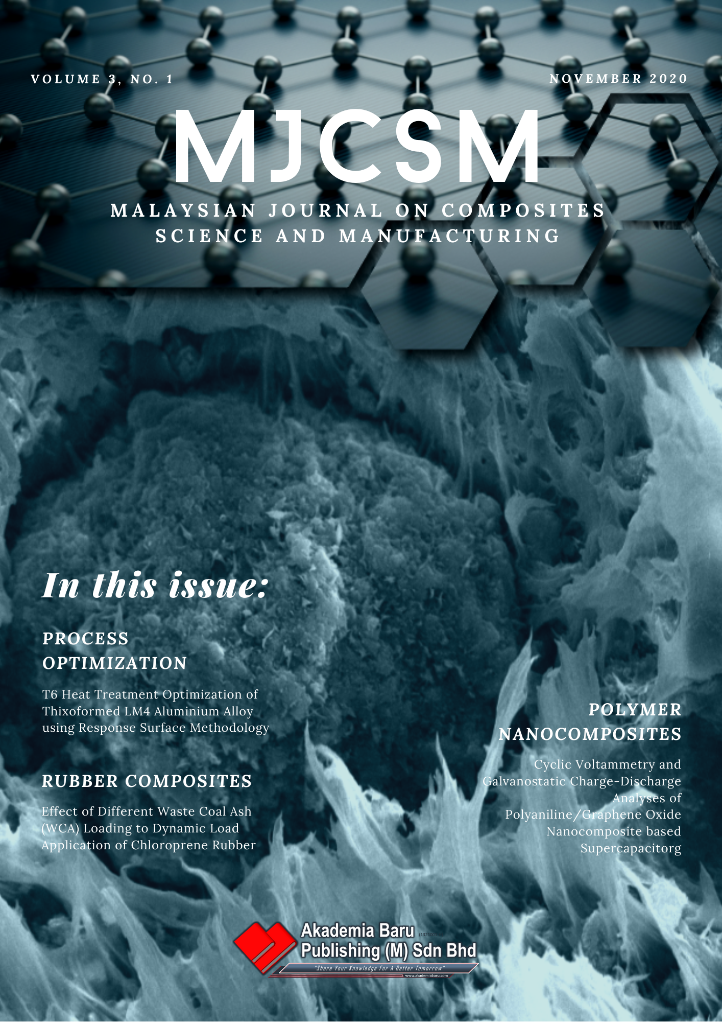 MJCSM Cover Page
